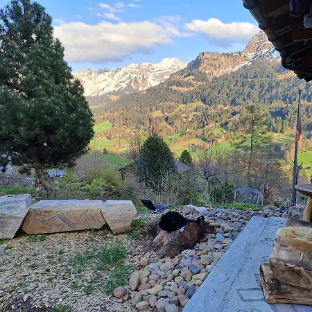 Saentis Chalet Chnorz Fireplace Apartment 아파트 Nesslau