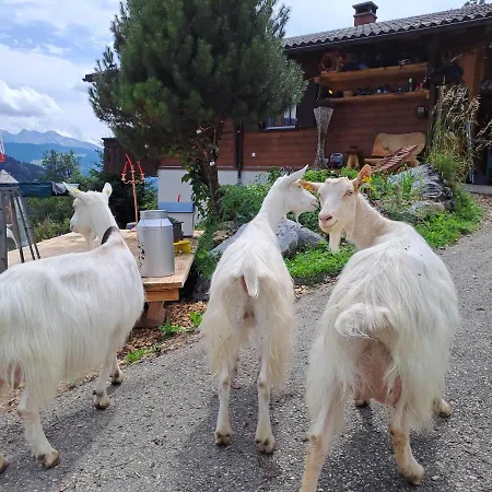 Saentis Chalet Chnorz Fireplace Apartment *