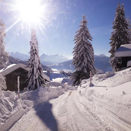 Saentis Chalet Chnorz Fireplace Apartment