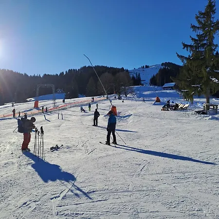 Saentis Chalet Chnorz Fireplace Apartment