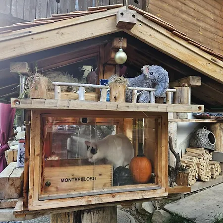 דירה Saentis Chalet Chnorz Fireplace Apartment Nesslau