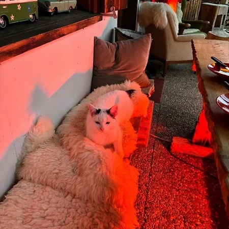 Saentis Chalet Chnorz Fireplace Apartment * Nesslau