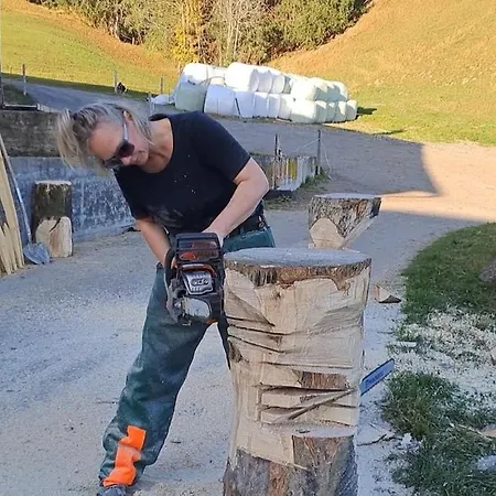 Saentis Chalet Chnorz Fireplace Apartment