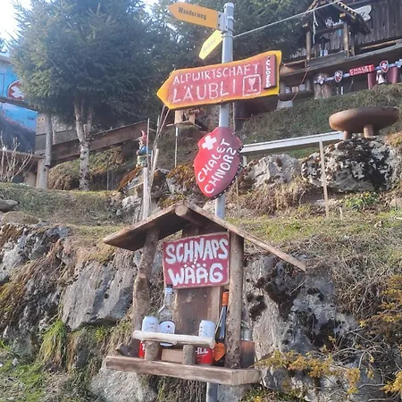 Alp Chnorz Penthouse Saentis