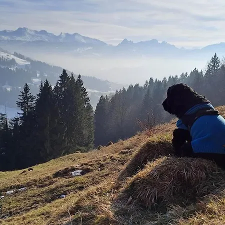 Saentis Chalet Chnorz Fireplace Apartment *